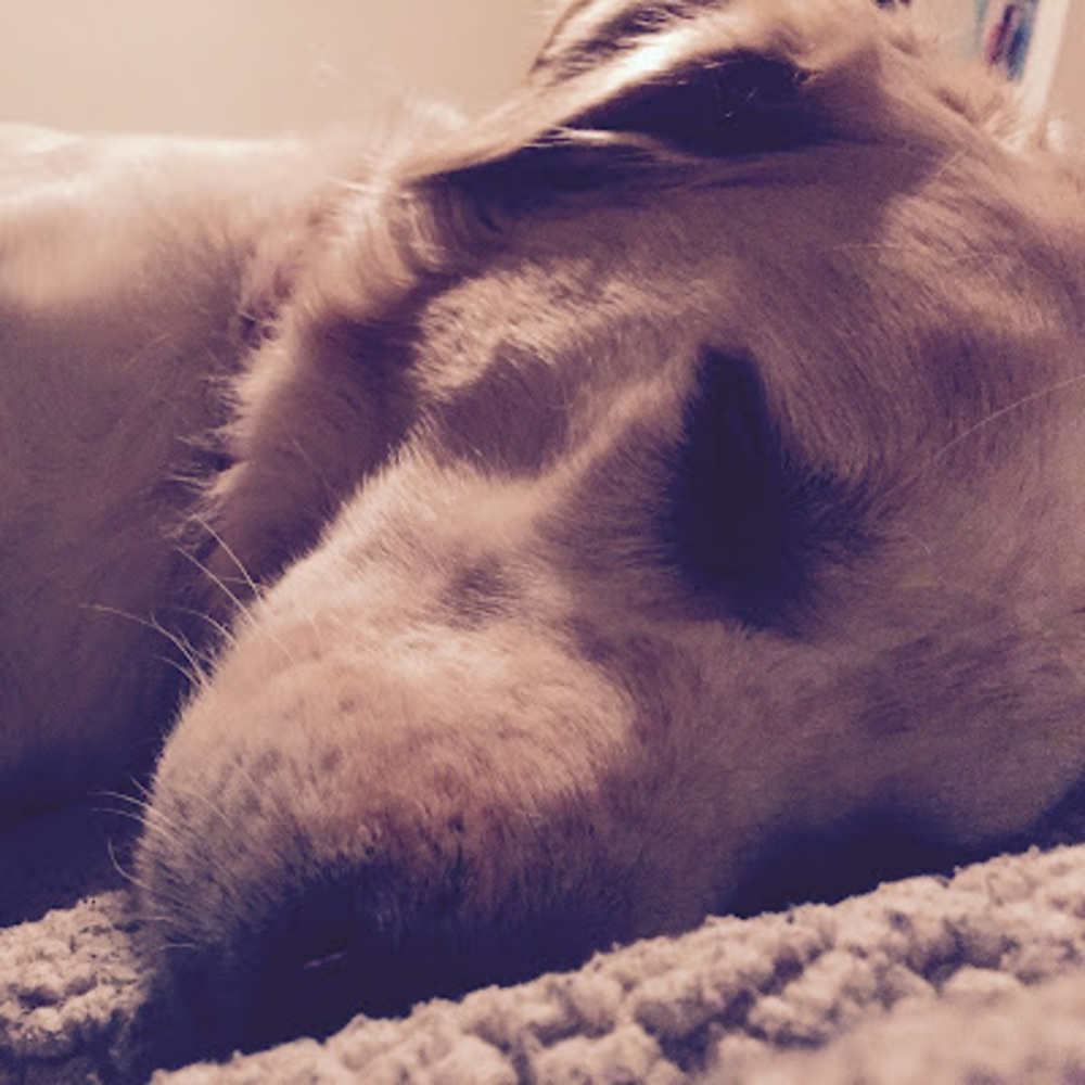 Meet your Posher, Micka